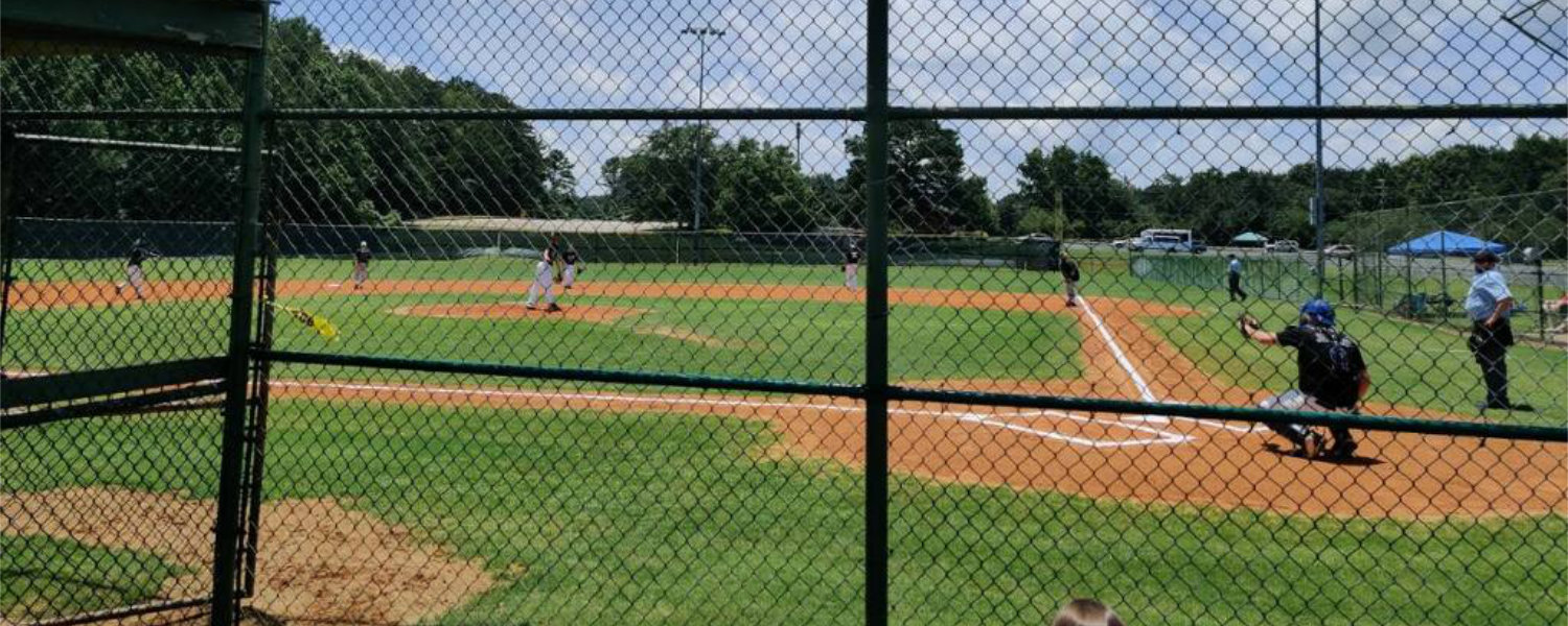 Adult Baseball