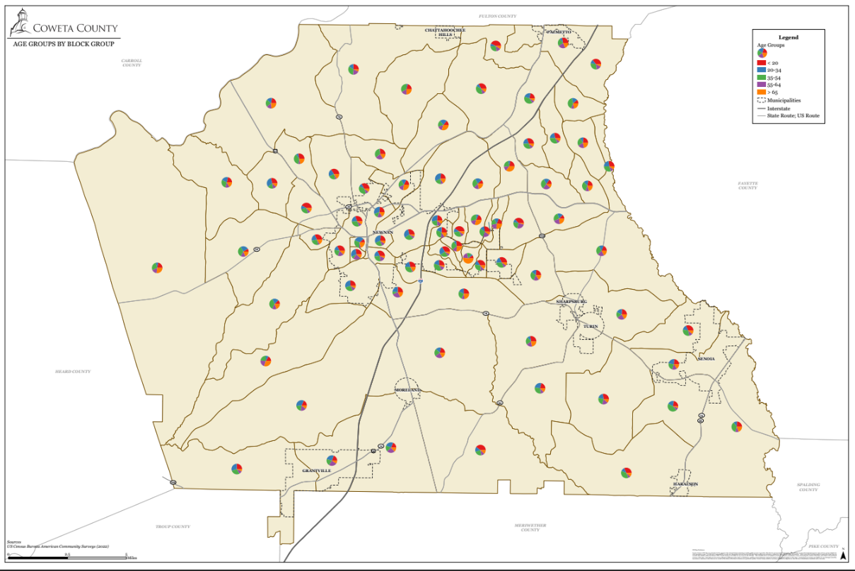 Age Groups in Coweta County